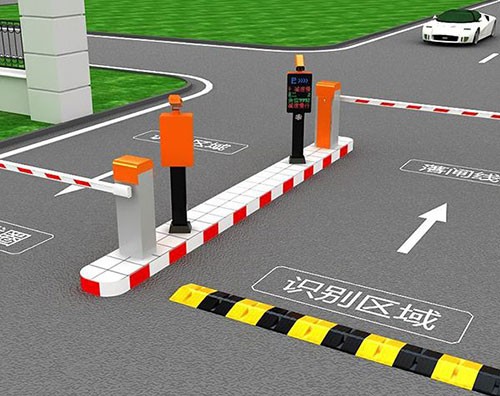 ����ʶ��