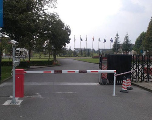 ����ʶ��