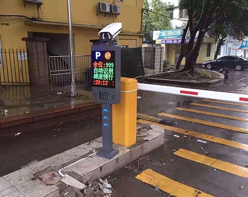 ����ʶ��