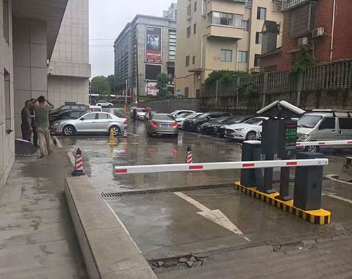 ����ʶ��