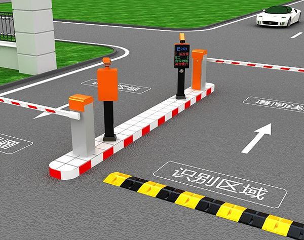 ����ʶ��