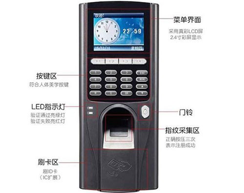 ����ʶ��