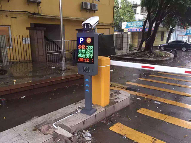 ����ʶ��