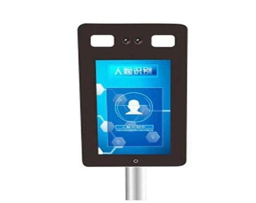 ����ʶ��