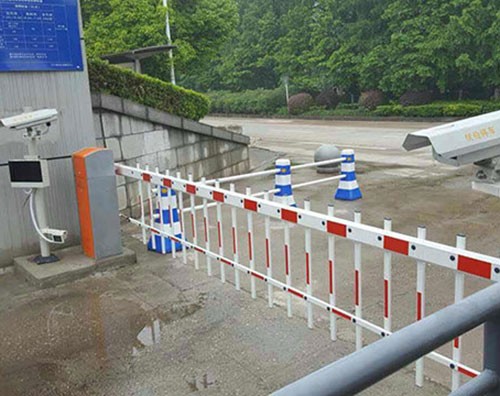 ����ʶ��