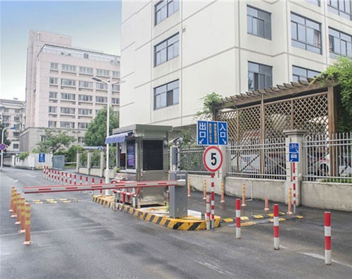 ͣ�����շ�ϵͳ